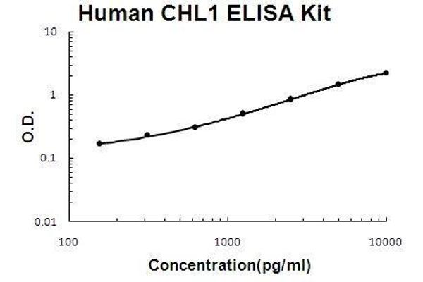 CHL1 ELISA Kit