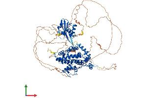 Protein Structure (PS) image for SH2 Domain Containing 3C (SH2D3C) (AA 1-854) protein (His tag) (ABIN7561842)