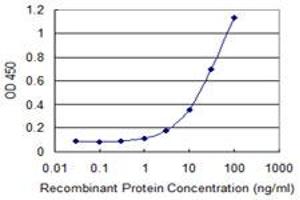Detection limit for recombinant GST tagged MSRB2 is 1 ng/ml as a capture antibody. (MSRB2 antibody  (AA 102-201))