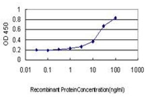 Detection limit for recombinant GST tagged STAU1 is approximately 0. (STAU1/Staufen antibody  (AA 401-496))