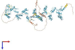 Protein Structure (PS) image for Zinc Finger Protein 836 (ZNF836) (AA 1-936) protein (His tag) (ABIN7545502)
