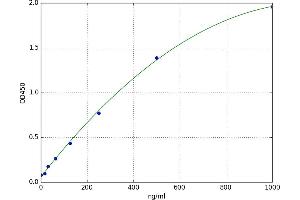 Serine/threonine protein kinase (STK) ELISA Kit