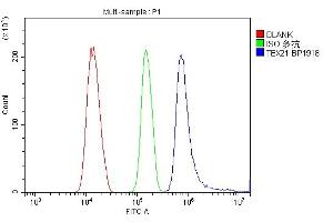 Flow Cytometry analysis of NRK cells using anti-TBX21 antibody (ABIN7602980).