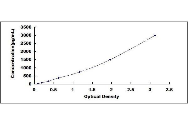 Fc gamma RII (CD32) ELISA Kit
