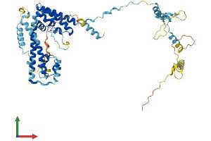Protein Structure (PS) image for Pre-mRNA Processing Factor 31 (PRPF31) (AA 1-499) protein (His tag) (ABIN7550962)