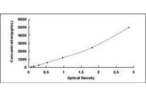 Hyaluronidase (HAase) ELISA Kit