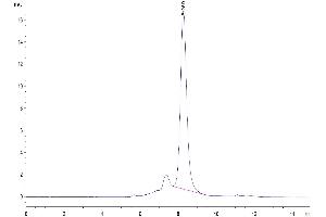 The purity of Human DSG3 is greater than 95 % as determined by SEC-HPLC. (Desmoglein 3 Protein (DSG3) (AA 50-615) (His tag))