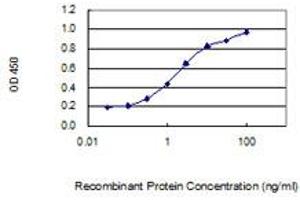 Detection limit for recombinant GST tagged ZC3HAV1L is 0. (ZC3HAV1L antibody  (AA 1-300))