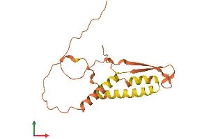 AlphaFold protein structure predicition of Human Recombinant FAM182A Protein, UniprotID Q5T1J6 (FAM182A Protein (AA 1-154) (His tag))