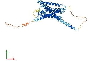 AlphaFold protein structure predicition of Mouse Recombinant Mrgprb2 Protein, UniprotID Q3KNA1 (Mrgprb2 Protein (AA 1-338) (His tag))