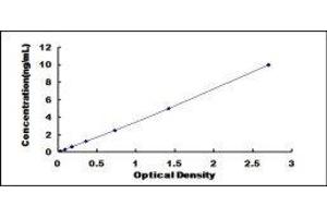 ELISA image for Transient Receptor Potential Cation Channel, Subfamily M, Member 4 (TRPM4) ELISA Kit (ABIN428802)