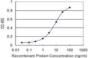 Detection limit for recombinant GST tagged SCP2 is 0. (SCP2 antibody  (AA 1-143))
