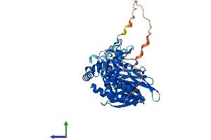 AlphaFold protein structure predicition of Human Recombinant NPEPPSL1 Protein, UniprotID A6NEC2 (NPEPPSL1 (AA 1-478) protein (His tag))