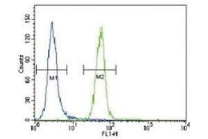 Flow Cytometry (FACS) image for anti-FYN Oncogene Related To SRC, FGR, YES (FYN) (AA 13-43) antibody (ABIN3031009)