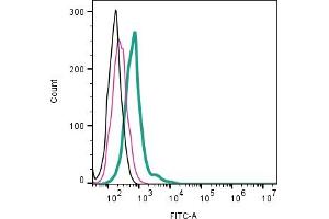 Cell surface detection of Neuropeptide S Receptor by direct flow cytometry in live intact mouse J774 macrophage cell line: + Rabbit IgG Isotype Control-FITC (ABIN7582044).