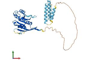 AlphaFold protein structure predicition of Mouse Recombinant Aagab Protein, UniprotID Q8R2R3