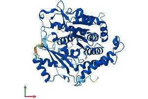AlphaFold protein structure predicition of Mouse Recombinant Tubg1 Protein, UniprotID P83887 (TUBG1 Protein (AA 1-451) (His tag))