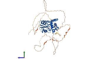 AlphaFold protein structure predicition of Human Recombinant EYA3 Protein, UniprotID Q99504 (EYA3 Protein (AA 1-573) (His tag))
