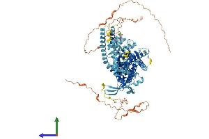 AlphaFold protein structure predicition of Human Recombinant TRPV1 Protein, UniprotID Q8NER1