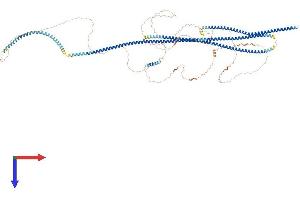 AlphaFold protein structure predicition of Mouse Recombinant Tmf1 Protein, UniprotID B9EKI3 (TMF1 Protein (AA 1-1091) (His tag))