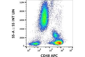 Flow cytometry analysis (surface staining) of human peripheral blood with anti-CD48 (MEM-102) APC. (CD48 antibody  (APC))