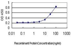 Detection limit for recombinant GST tagged POGK is approximately 1ng/ml as a capture antibody. (POGK antibody  (AA 431-540))