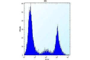 Flow cytometric analysis of 293 cells using CYP20A1 Antibody (Center) Cat. (CYP20A1 antibody  (Middle Region))