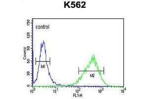 UPK1B Antibody (Center) flow cytometric analysis of K562 cells (right histogram) compared to a negative control cell (left histogram).