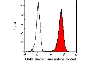 Flow Cytometry (FACS) image for anti-CD48 (CD48) (AA 29-220) antibody (ABIN7795687)