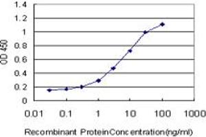 Detection limit for recombinant GST tagged MKNK2 is approximately 0. (MKNK2 antibody  (AA 1-158))