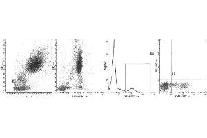 Image no. 1 for Mouse anti-Human Ig (Chain kappa), (Light Chain) antibody (FITC) (ABIN1107910) (Mouse anti-Human Ig (Chain kappa), (Light Chain) Antibody (FITC))
