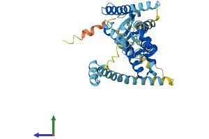 AlphaFold protein structure predicition of Human Recombinant PEX12 Protein, UniprotID O00623 (PEX12 Protein (AA 1-359) (His tag))