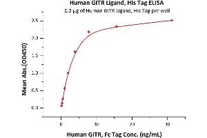 Immobilized Human GITR Ligand, His Tag (ABIN6810043,ABIN6938904) at 2 μg/mL (100 μL/well) can bind Human GITR, Fc Tag (ABIN5954929,ABIN6253604) with a linear range of 0. (TNFSF18 Protein (AA 50-177) (His tag))