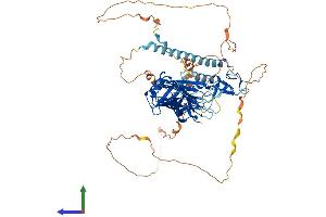 AlphaFold protein structure predicition of Mouse Recombinant Rph3a Protein, UniprotID P47708