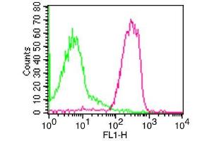 Flow Cytometry (FACS) image for anti-Intercellular Adhesion Molecule 3 (ICAM3) antibody (FITC) (ABIN5027873) (ICAM-3/CD50 antibody  (FITC))
