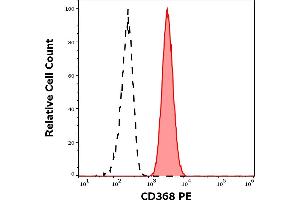 Separation of human neutrophil granulocytes (red-filled) from lymphocytes (black-dashed) in flow cytometry analysis (surface staining) of human peripheral whole blood stained using anti-human CD368 (9B9) PE antibody (10 μL reagent / 100 μL of peripheral whole blood). (CLEC4D antibody  (PE))