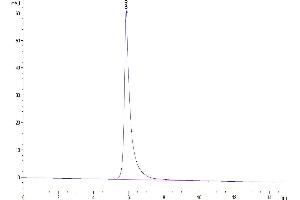 The purity of Biotinylated SARS-COV-2 Spike S1 is greater than 95 % as determined by SEC-HPLC. (SARS-CoV-2 Spike S1 Protein (AA 14-683) (Fc-Avi Tag,Biotin))