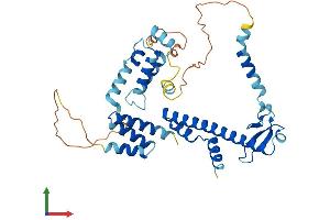 AlphaFold protein structure predicition of Human Recombinant DNAJB12 Protein, UniprotID Q9NXW2 (DNAJB12 Protein (AA 1-375) (His tag))
