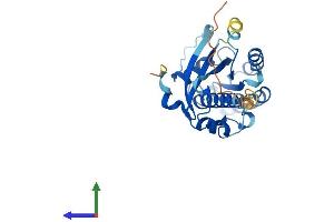 AlphaFold protein structure predicition of Human Recombinant RAB34 Protein, UniprotID Q9BZG1 (RAB34 Protein (AA 1-259) (His tag))