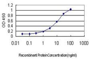 Detection limit for recombinant GST tagged ATN1 is approximately 0. (Atrophin 1 antibody  (AA 1-110))