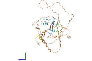 AlphaFold protein structure predicition of Human Recombinant KLF5 Protein, UniprotID Q13887 (KLF5 Protein (AA 1-457) (His tag))