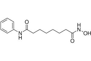 Chemical structure of SAHA (Vorinostat) , a HDAC inhibitor. (SAHA (Vorinostat))
