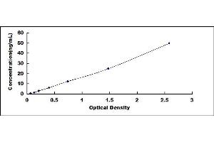 Typical standard curve (Ovalbumin ELISA Kit)