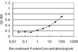 Detection limit for recombinant GST tagged GDF11 is approximately 1ng/ml as a capture antibody. (GDF11 antibody  (AA 310-407))