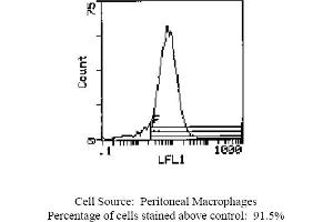 Mouse anti OX-43 Antigen OX-43 (Endothelium antibody (Biotin))