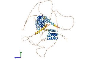AlphaFold protein structure predicition of Mouse Recombinant Lrch2 Protein, UniprotID Q3UMG5 (LRCH2 Protein (AA 1-773) (His tag))
