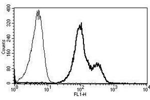 A typical staining pattern with the B-B15 monoclonal antibody of lymphocytes (ITGAL antibody)