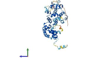 AlphaFold protein structure predicition of Human Recombinant EBLN1 Protein, UniprotID P0CF75 (EBLN1 Protein (AA 1-366) (His tag))