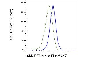 Validation of SMURF2 knockdown using flow cytometry. (SMURF2 antibody)