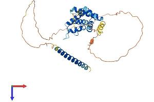 Chromosome 21 Open Reading Frame 56 (C21orf56) (AA 1-340) protein (His tag)